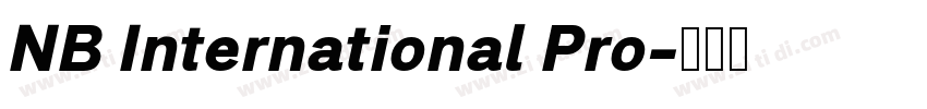 NB International Pro字体转换
